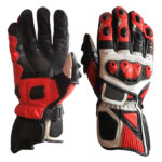 Motorbike Gloves